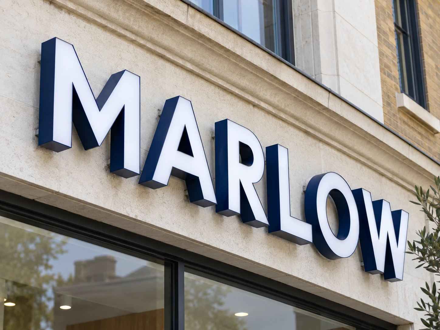 Lion Sign — Blue aluminium 3D channel letters with white acrylic faces for dental and healthcare signage.
